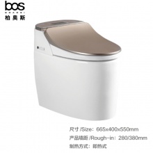 智能馬桶（金色）